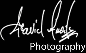 David Amoils Photography